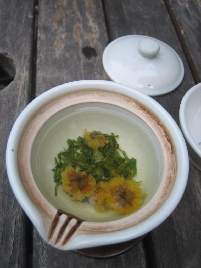 Chrysanthemum (菊花)