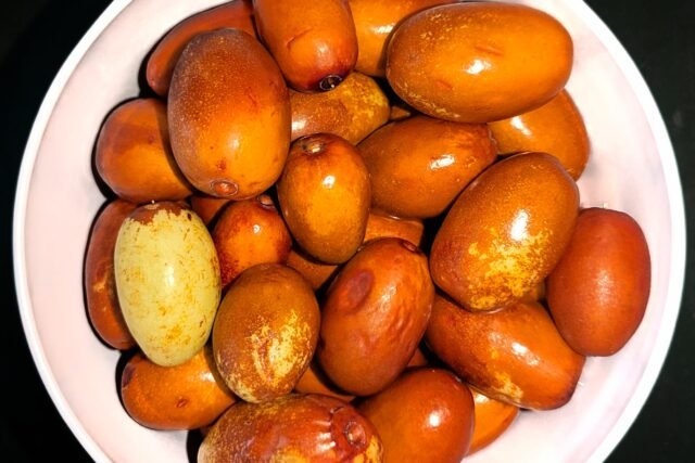 Jujube (Red Date) (大枣)