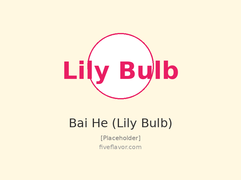 Lily Bulb (百合)